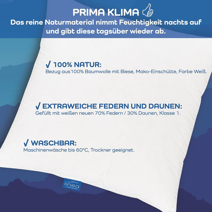 LINEA by Böhmerwald - Cosy - Pernă de înaltă calitate Balance, 40X80, 70% pene clasa 1, 30% puf nou, potrivit pentru alergici, lavabil până la 60°C, produs în Germania