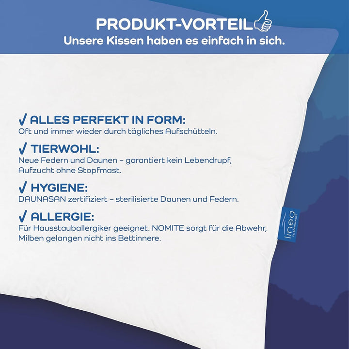 LINEA by Böhmerwald - Cosy - Pernă de înaltă calitate Balance, 40X80, 70% pene clasa 1, 30% puf nou, potrivit pentru alergici, lavabil până la 60°C, produs în Germania