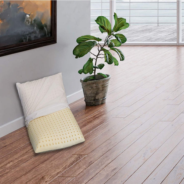 Sleepys Pernă din latex natural, 74 X 42 cm, înălțime 10 cm, săpun perforat, cu căptușeală din Jersey, 100% bumbac, pernă antialergică din latex